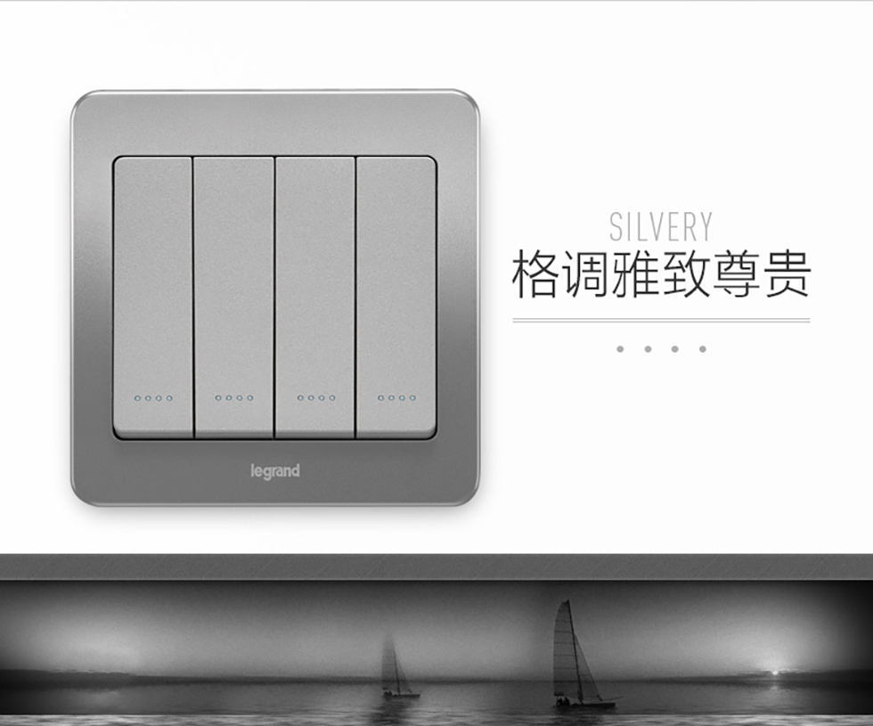 罗格朗·逸典 四开双控带荧光开关 醇砂钢